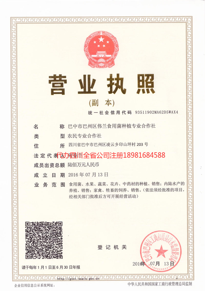 台山台山伟兰食用菌种植专业合作社